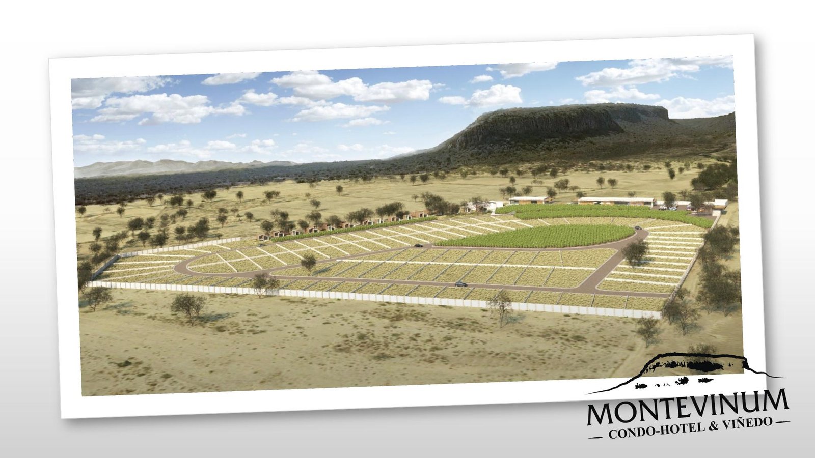 Montevinum - Imagen 3
